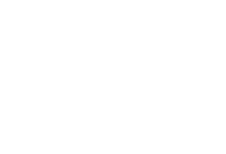 Sugar Grits Flying Egret